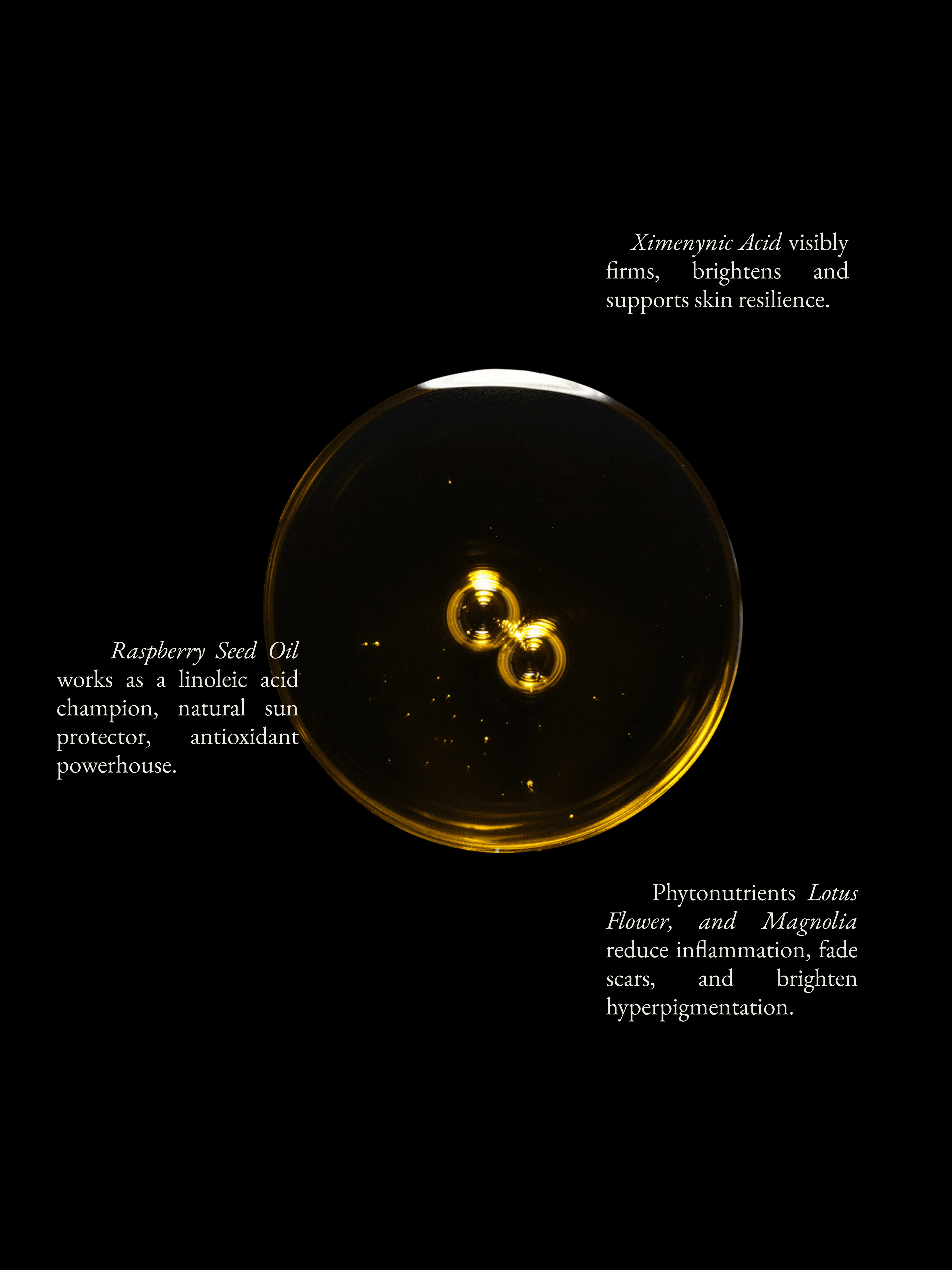 Monastery | Gold Restorative Face Oil