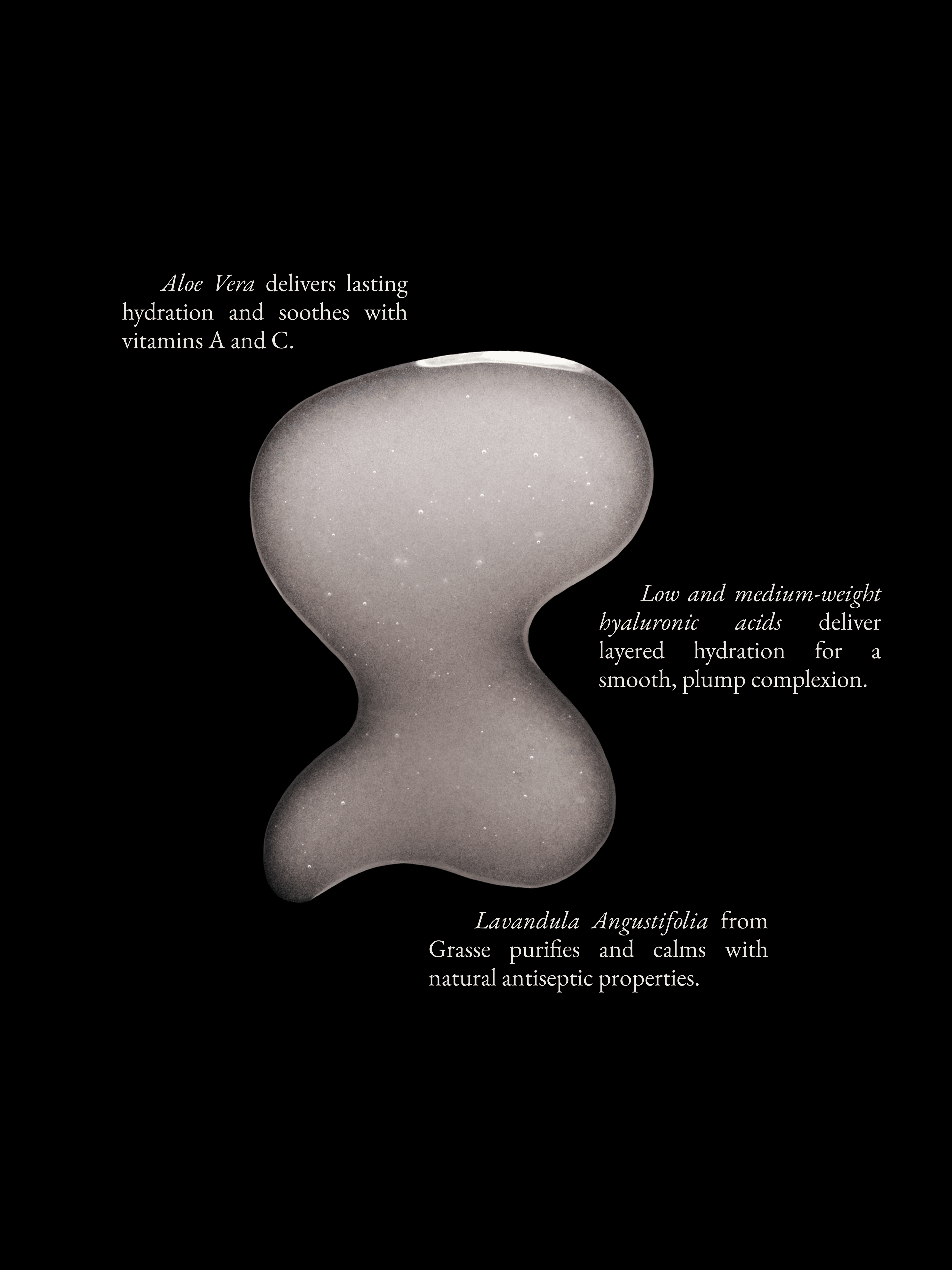 Monastery | Aloe Hyaluronic Moisture Boost