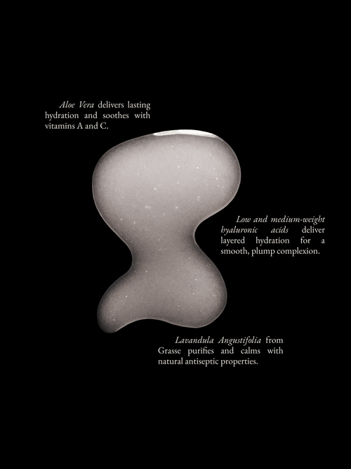 Monastery | Aloe Hyaluronic Moisture Boost